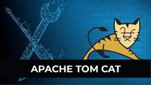APACHE-TOM-CAT