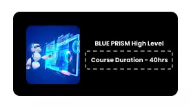 BLUE PRISM HIGH LEVEL