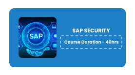 SAP SECURITY