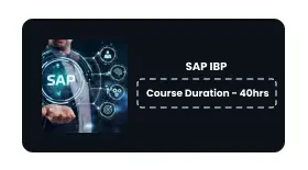 SAP IBP