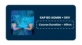 SAP BO ADMIN+ DEV