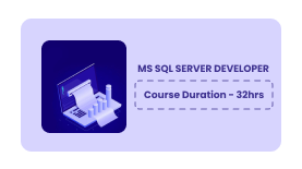 MS SQL SERVER DEVELOPER