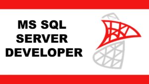 ms sql server developer