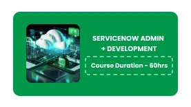 ServiceNow Admin- Development