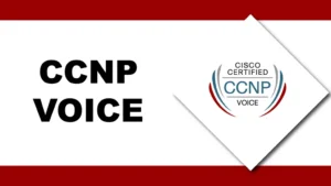 CCNP VOICE TRAINING IN BANGALORE