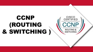 CCNP ROUTING & SWITCHING TRAINING IN BANGALORE