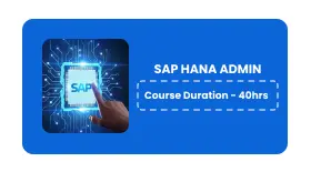 SAP HANA ADMIN