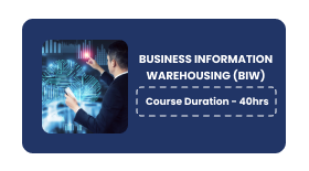 Business Information Warehousing (BIW)