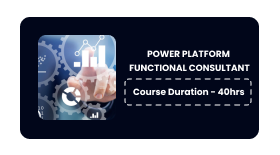 Power Platform Functional Consultant