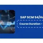 SAP SCM S4/HANA