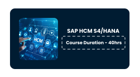 SAP HCM S4/HANA