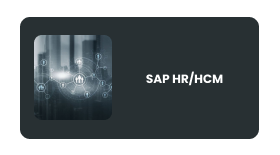 SAP /HR /HCM