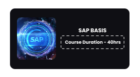 SAP BASIS