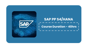 SAP PP S4/HANA