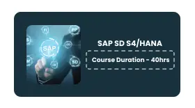 SAP SD S4/HANA