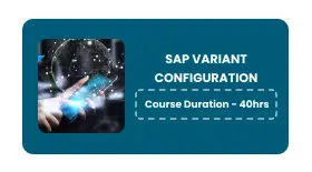 SAP Variant Configuration