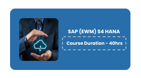 SAP (EWM) S4 HANA