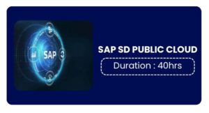 Sap Sd Public Cloud Training In Bangalore