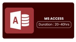 Ms Access Training In Bangalore
