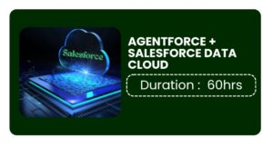 Agentforce + Salesforce Data Cloud Training In Bangalore Online