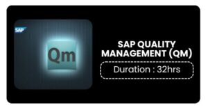 Sap Quality Management (qm) Training In Kochi