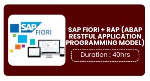 Sap Fiori + Rap Training In Bangalore