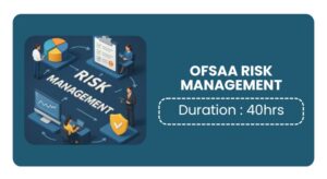 Ofsaa Risk Management Training In Kochi Online