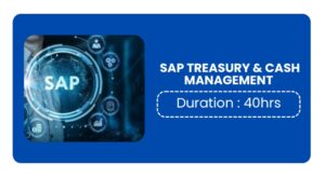Sap Treasury & Cash Management Training In Bangalore
