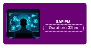 SAP PM Training in Bangalore