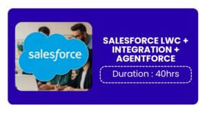 Salesforce Lwc + Integration + Agentforce Training In Bangalore