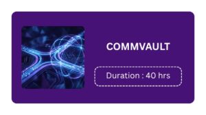 Commvault Training In Kochi Online