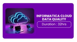 Informatica Cloud Data Quality Training In Bangalore Online