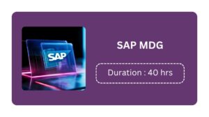 Sap Mdg Training In Kochi