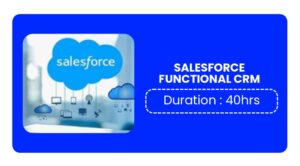 Salesforce Functional Crm Training In Kochi Online