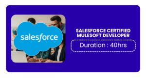 Salesforce Certified Mulesoft Developer Training In Kochi Online