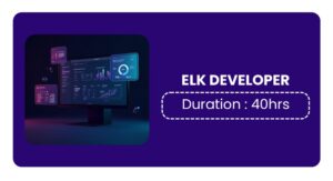 Elk Developer Training In Bangalore Online