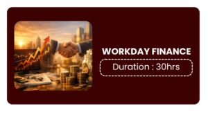 Workday Finance Training In Bangalore Online