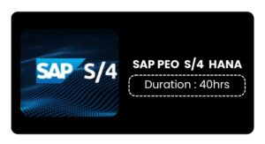 Sap Peo S/4 Hana Training In Bangalore Online