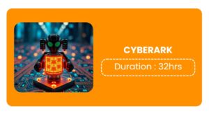 Cyberark Training In Bangalore Online