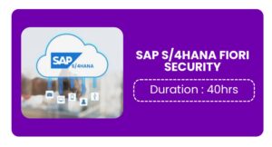 Sap S/4hana Fiori Security Training In Kochi Online