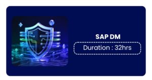 Sap Digital Manufacturing (sap Dm) Training In Bangalore Online